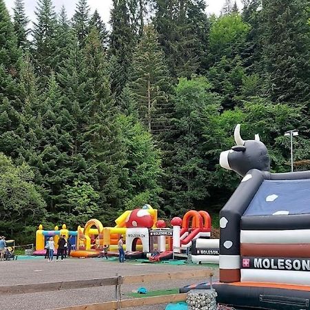 Joli Studio Au Pied Du Moleson Gruyeres Dış mekan fotoğraf