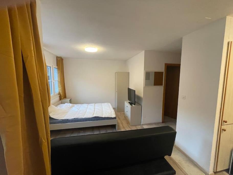 Joli Studio Au Pied Du Moleson Gruyeres Dış mekan fotoğraf