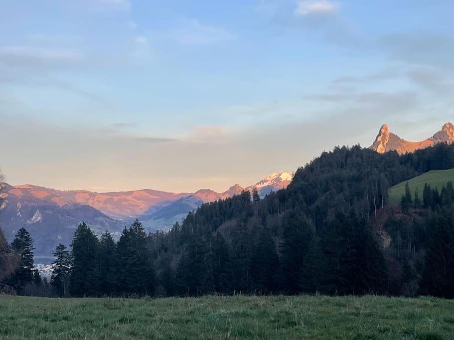 Joli Studio Au Pied Du Moleson Gruyeres Dış mekan fotoğraf