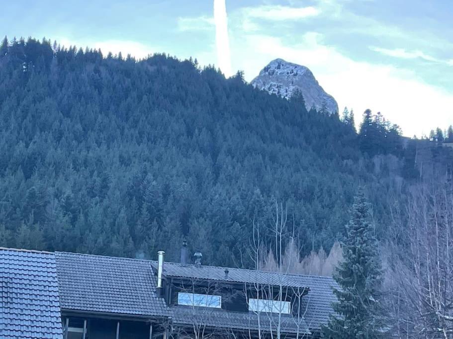 Joli Studio Au Pied Du Moleson Gruyeres Dış mekan fotoğraf