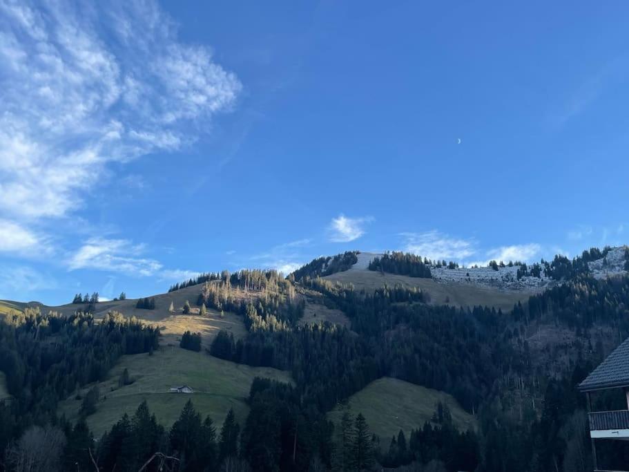 Joli Studio Au Pied Du Moleson Gruyeres Dış mekan fotoğraf