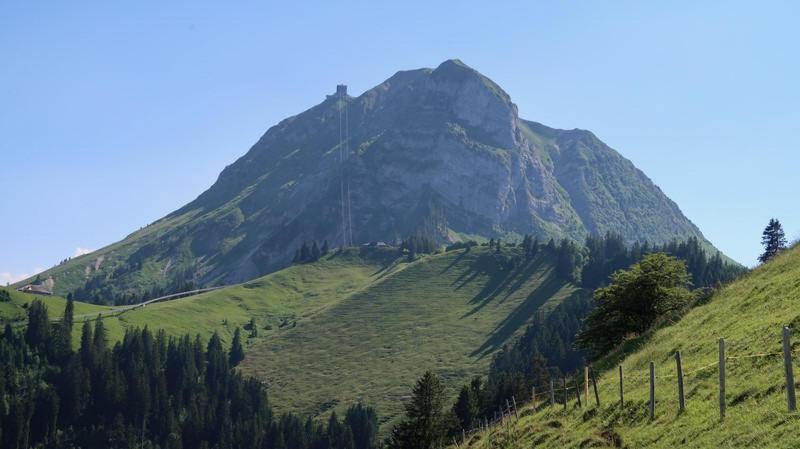 Joli Studio Au Pied Du Moleson Gruyeres Dış mekan fotoğraf