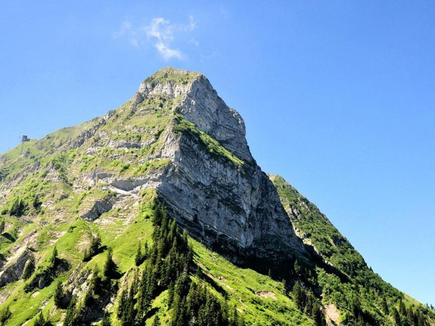 Joli Studio Au Pied Du Moleson Gruyeres Dış mekan fotoğraf