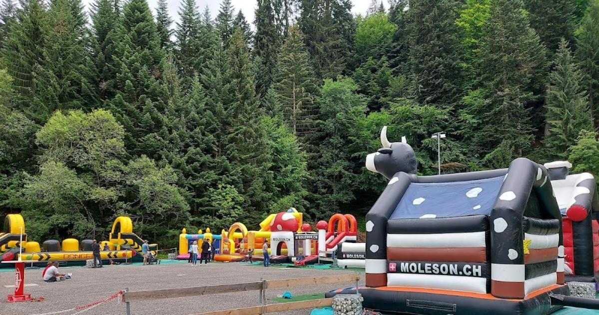 Joli Studio Au Pied Du Moleson Gruyeres Dış mekan fotoğraf